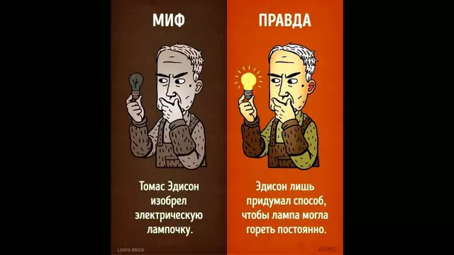 Мифы и правда о моли: что важно знать каждому