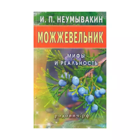 Осы: мифы и реальность о поведении их в природе