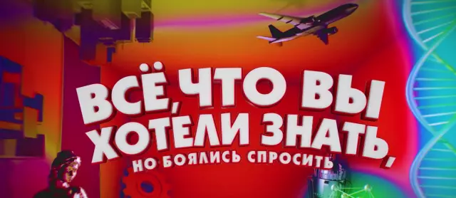 Всё, что вы хотели знать о мухах: виды, образ жизни и полезные факты